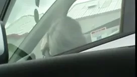 Страпон порно для ді ...